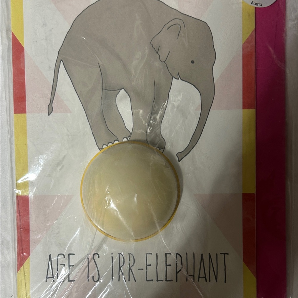 Elephant Art with Cream Soap